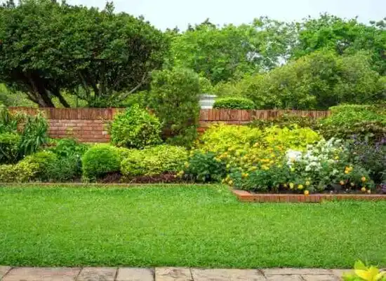 landscaping services Mayville